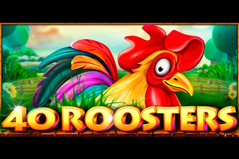 40 Roosters Ct Gaming Interactive